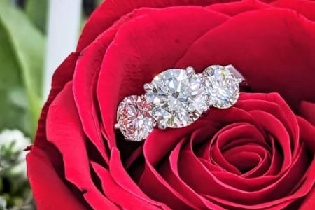 Diamond ring in a rose